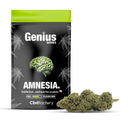 Genius Amnesia CBD - Saveur Unique et Qualité Premium | CBD Factory