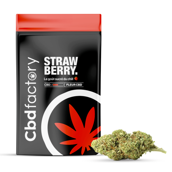 Strawberry Cbd