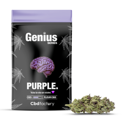 Genius Purple CBD - Fleur Intense aux Notes Fruitées | CBD Factory