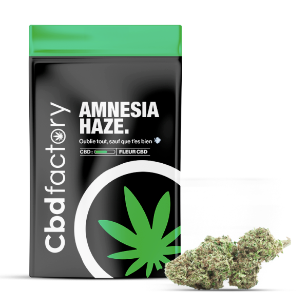 Amnesia Cbd