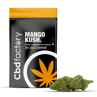 Mango Kush CBD - Fleur Exotique et Gourmande | CBD Factory